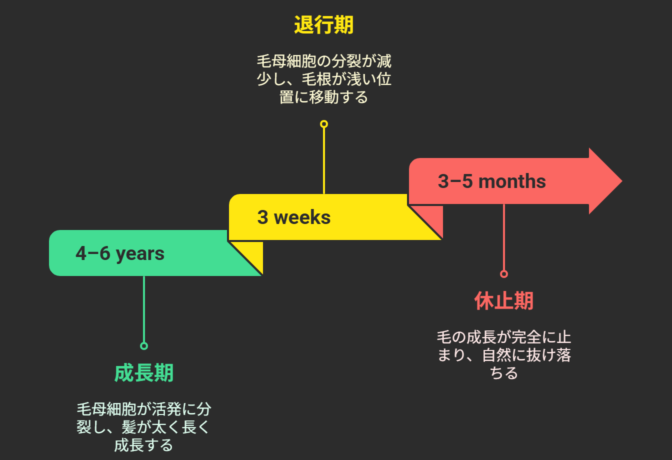 ヘアサイクル
